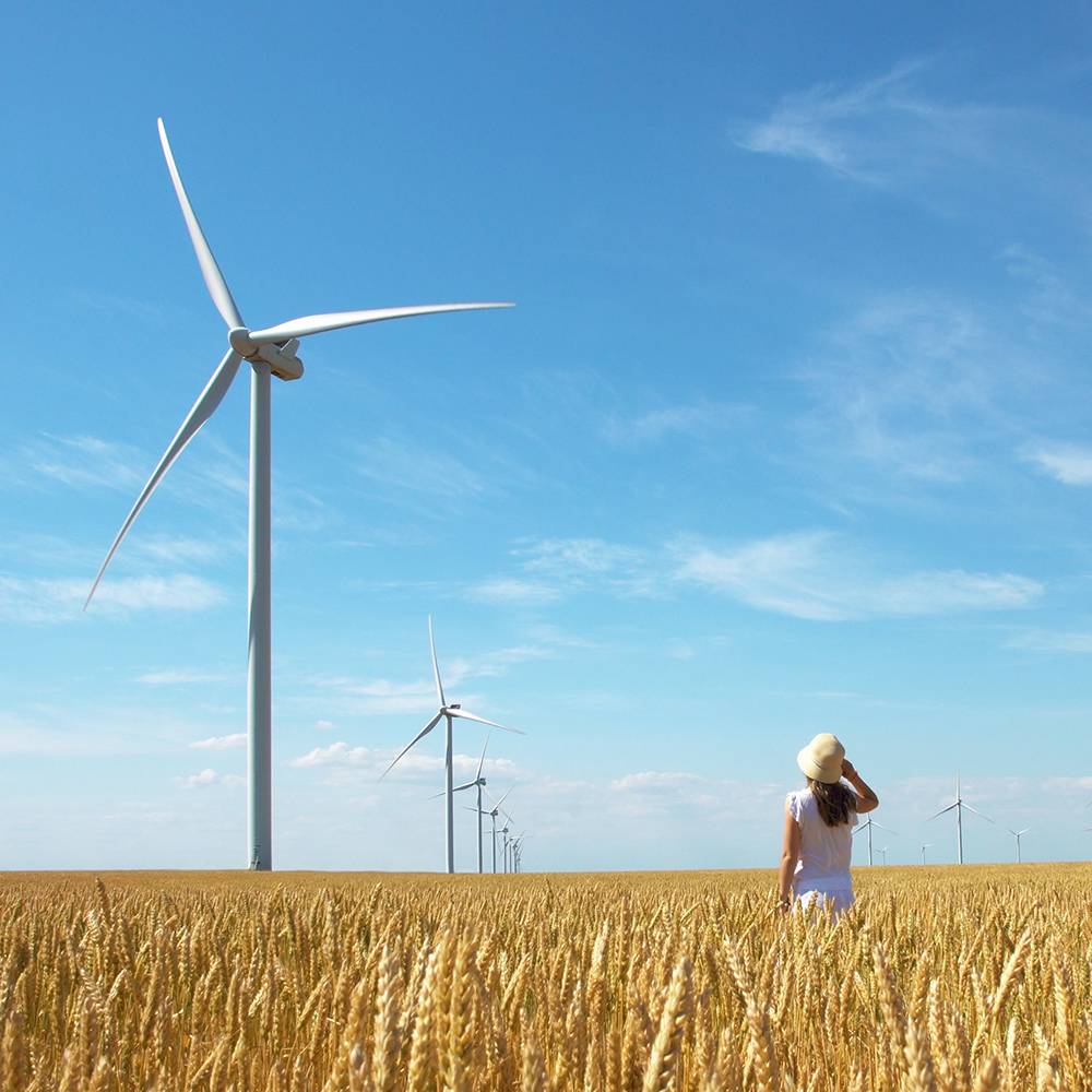 Termo vingecovers med mærkbare fordele